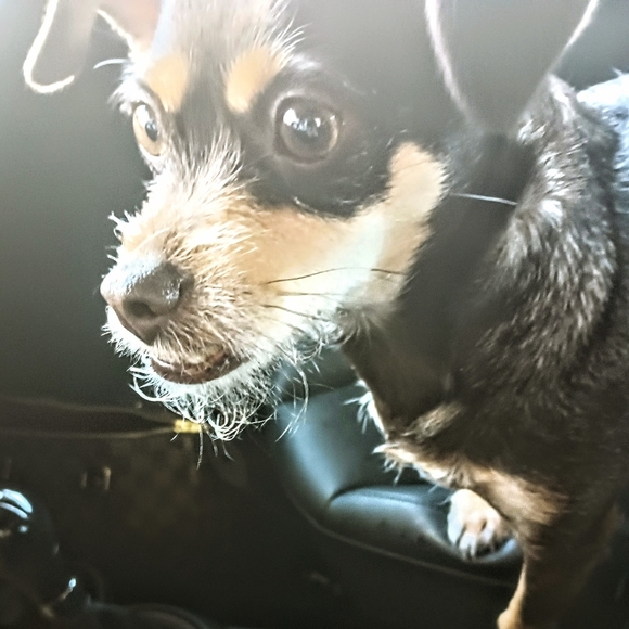 Bag is no longer available - Picture 1 of 1